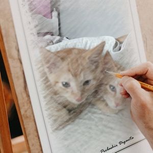 Meet your Posher, Renee